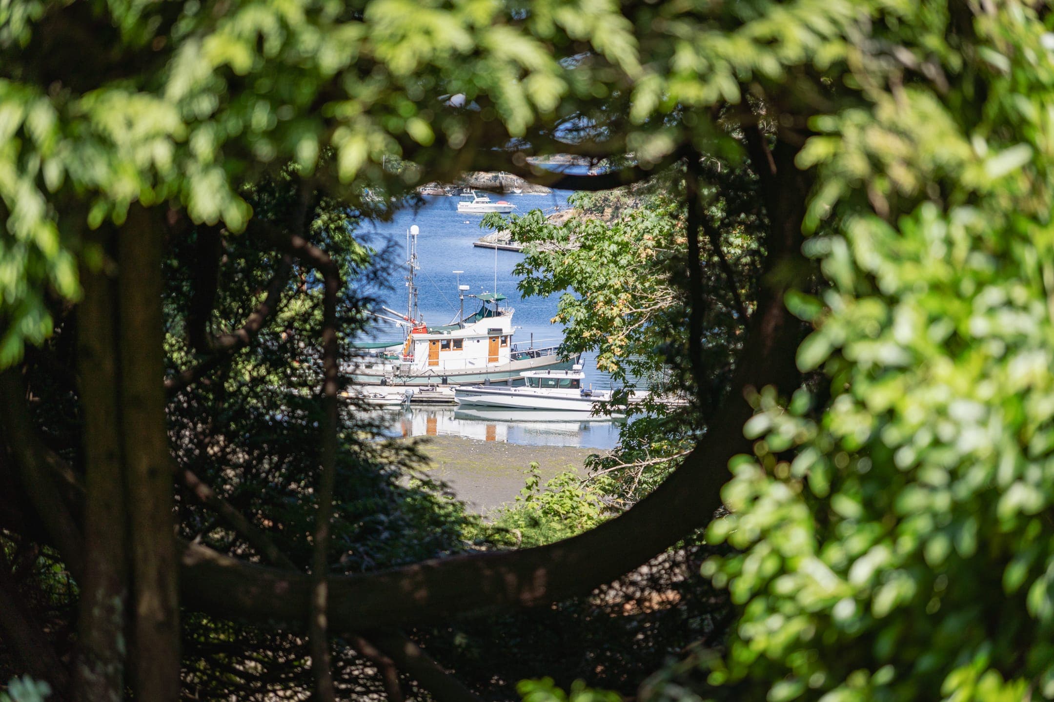 Vistoria Island - Image 3