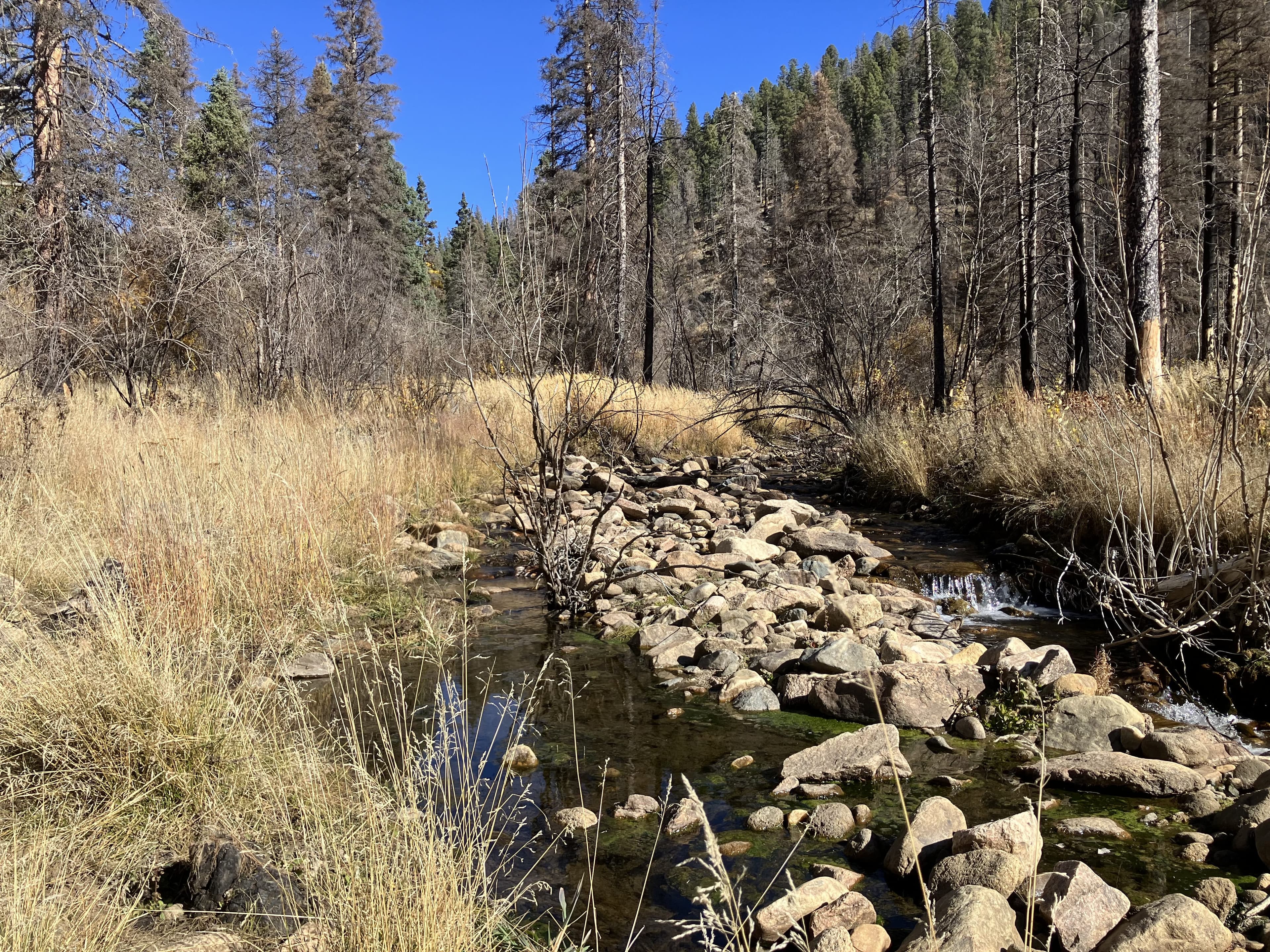 Pecos Wilderness - Image 2