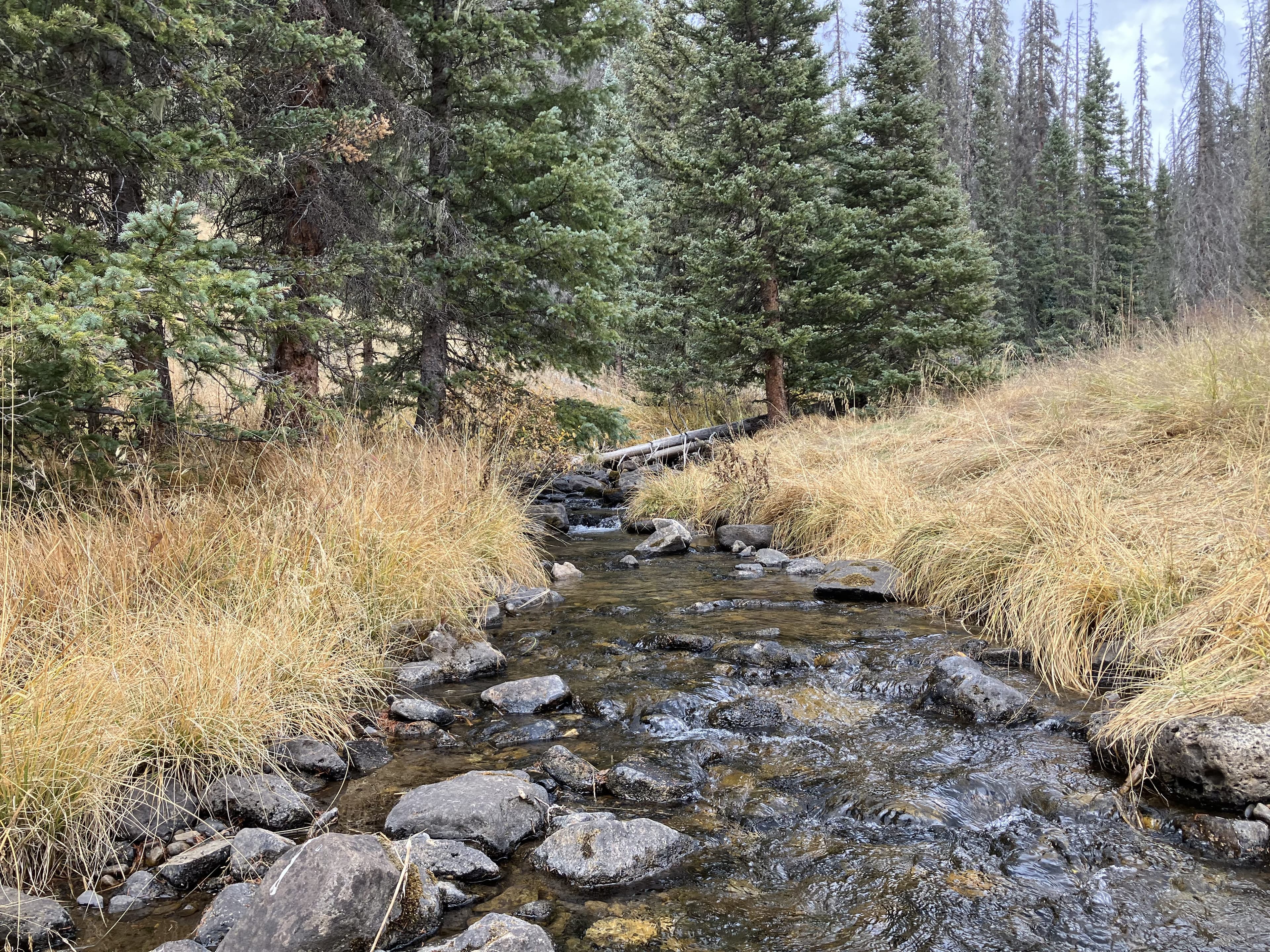 Pecos Wilderness - Image 6