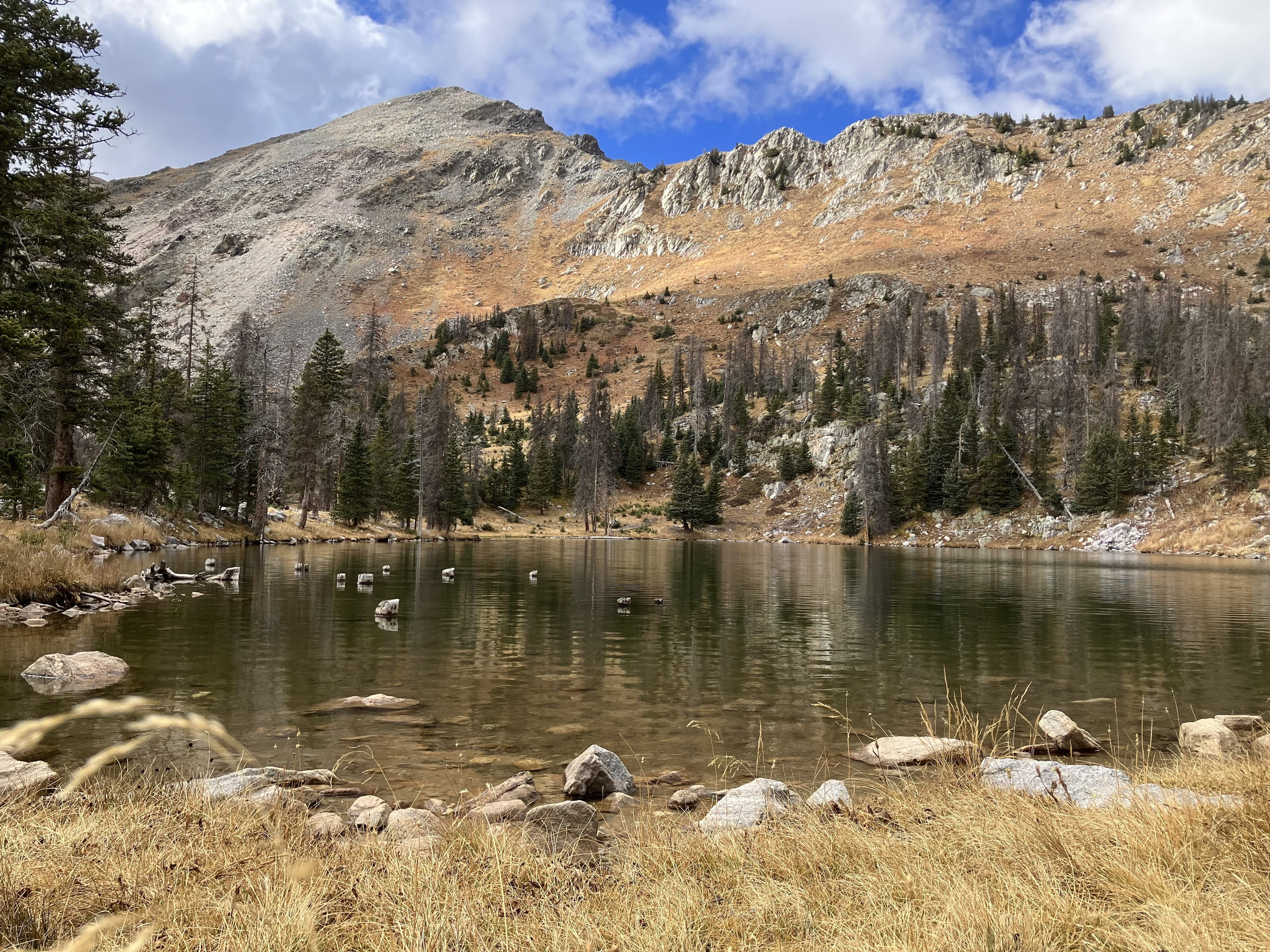 Pecos Wilderness - Image 7