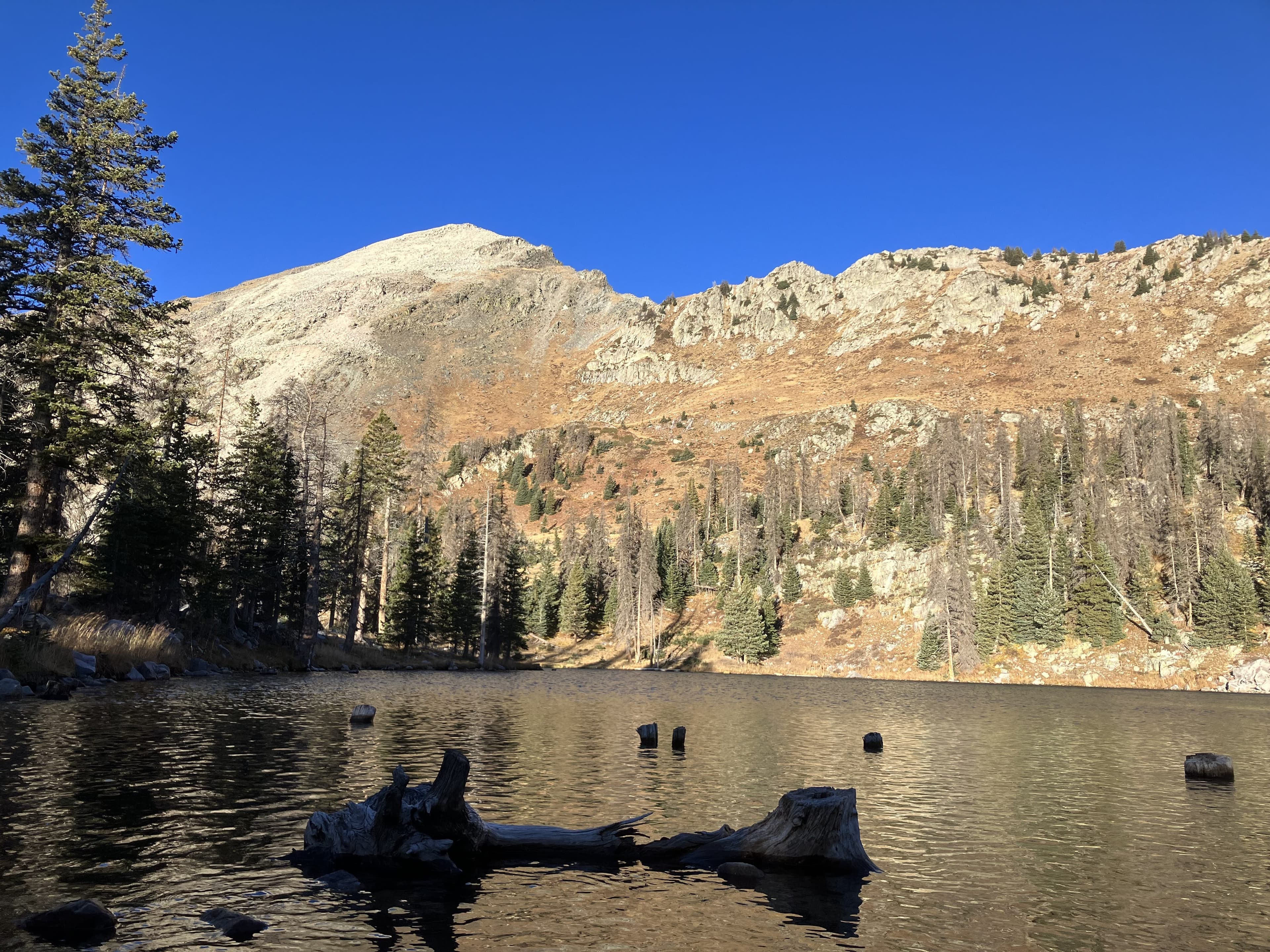 Pecos Wilderness - Image 8