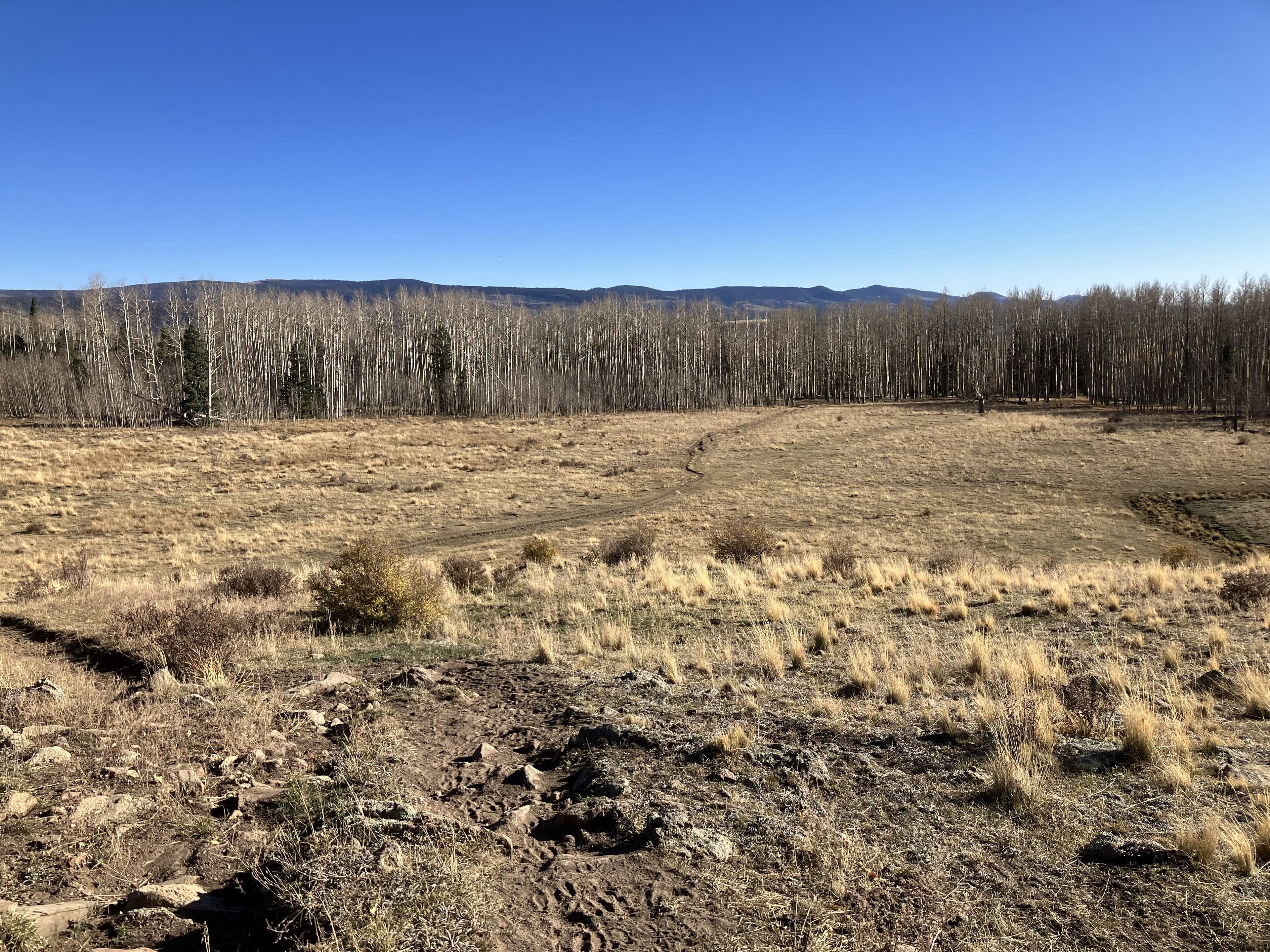 Pecos Wilderness - Image 9