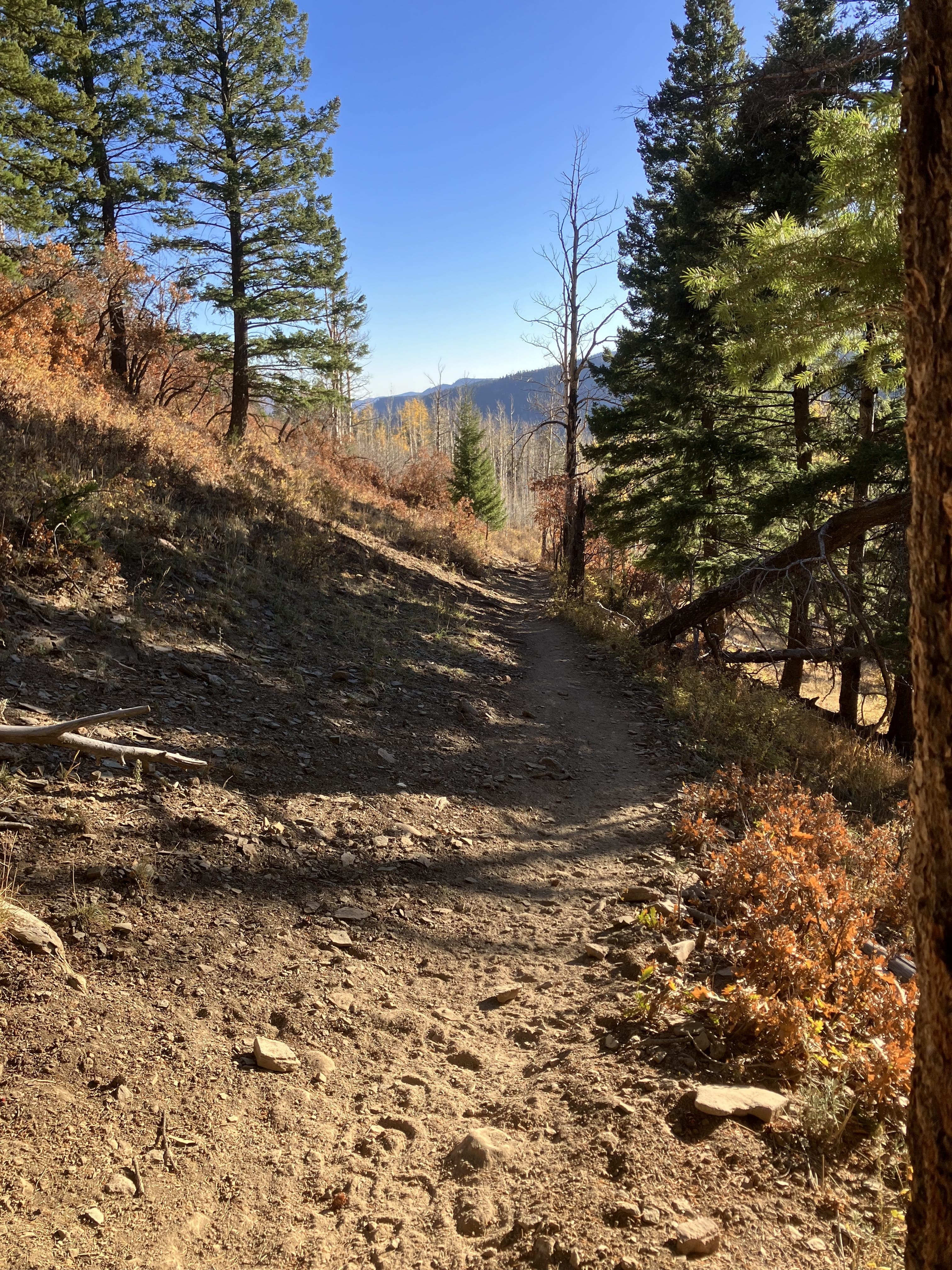 Pecos Wilderness - Image 10