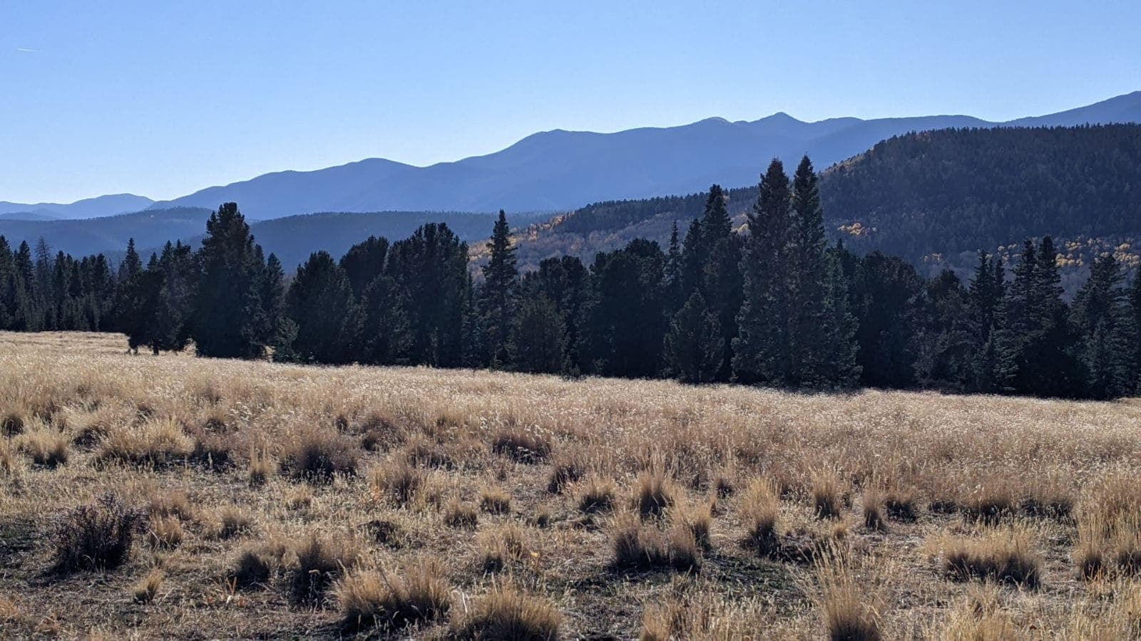 Pecos Wilderness - Image 12