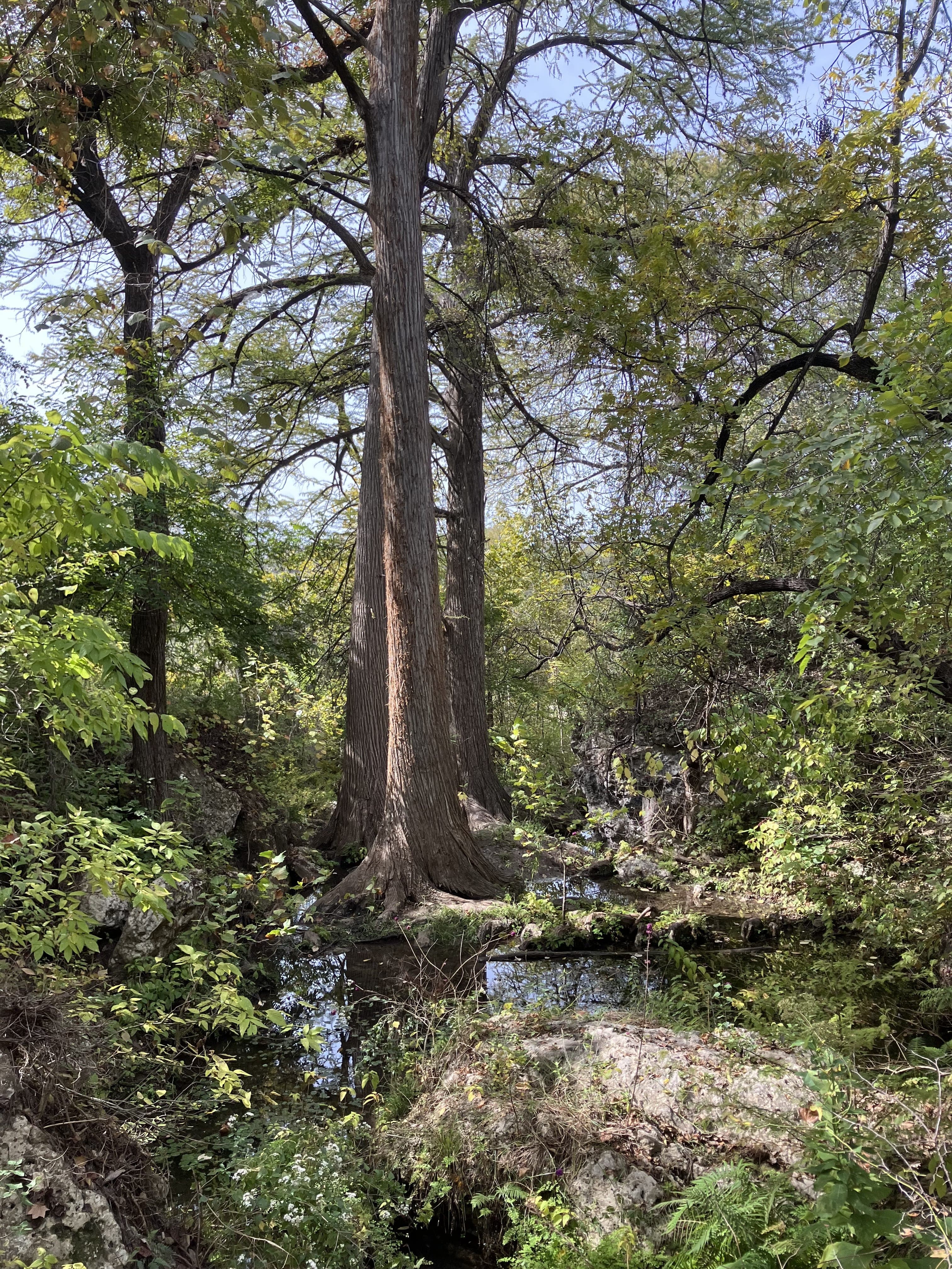 Reimers Ranch - Image 3