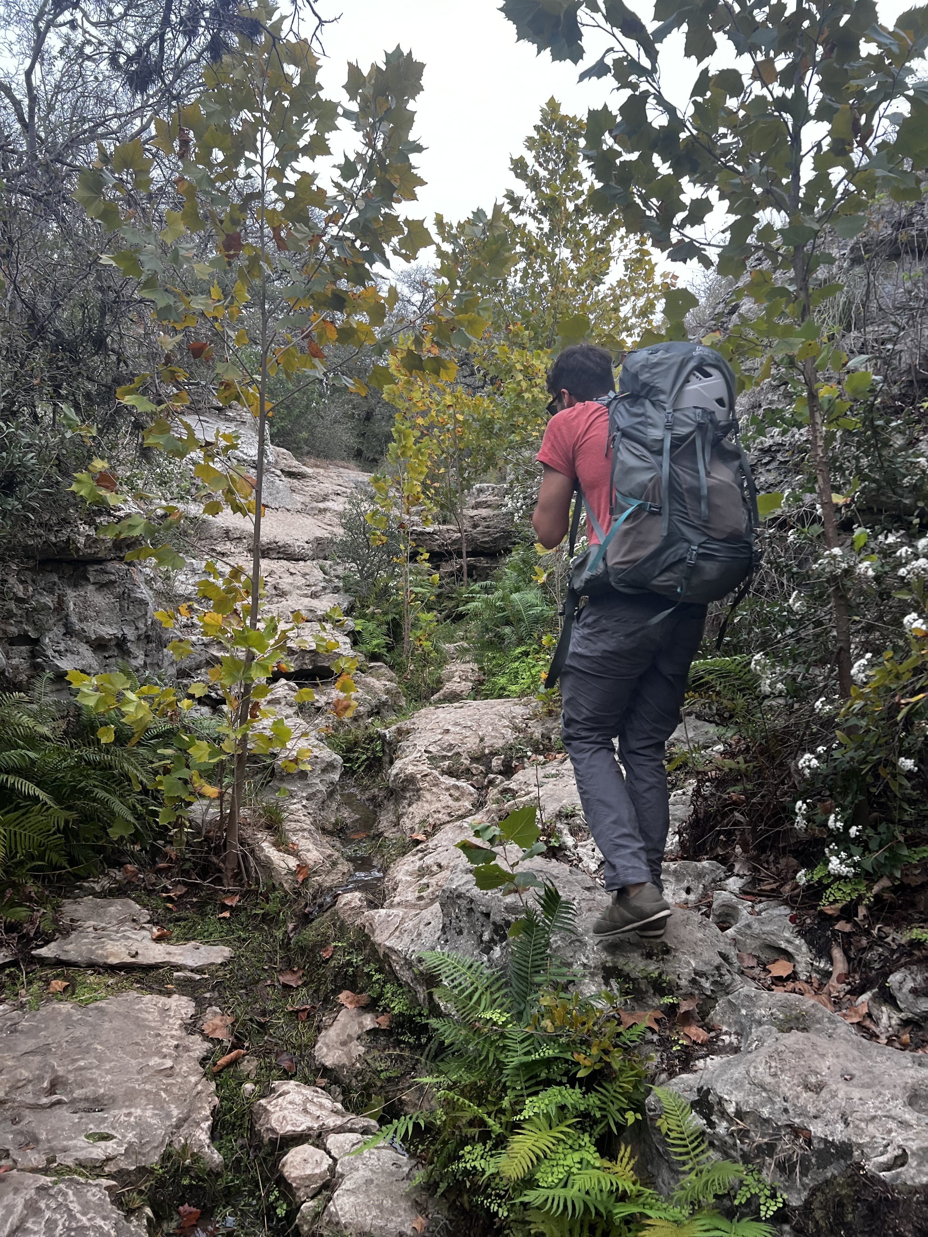 Reimers Ranch - Image 5