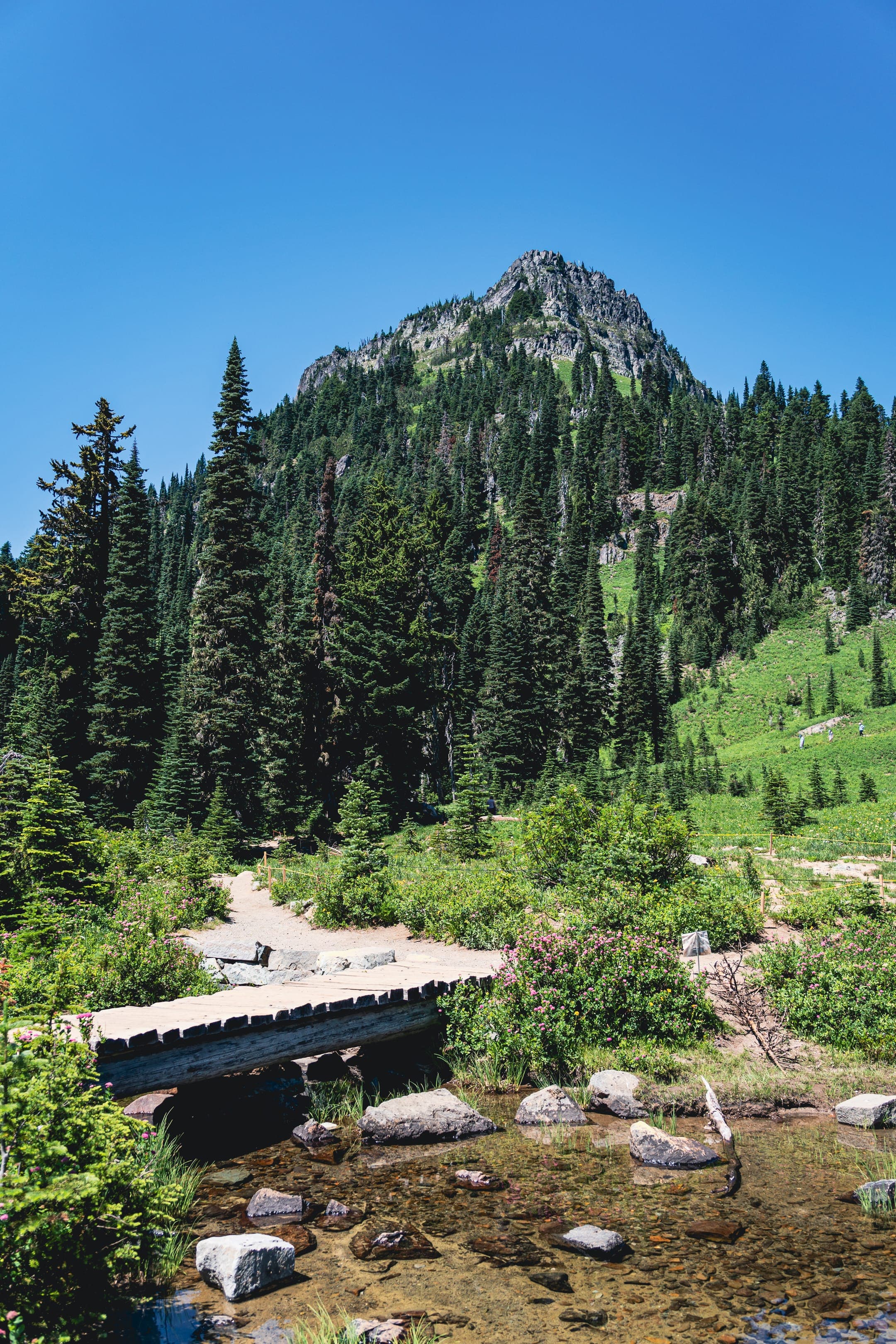 Mount Rainier National Park - Image 2