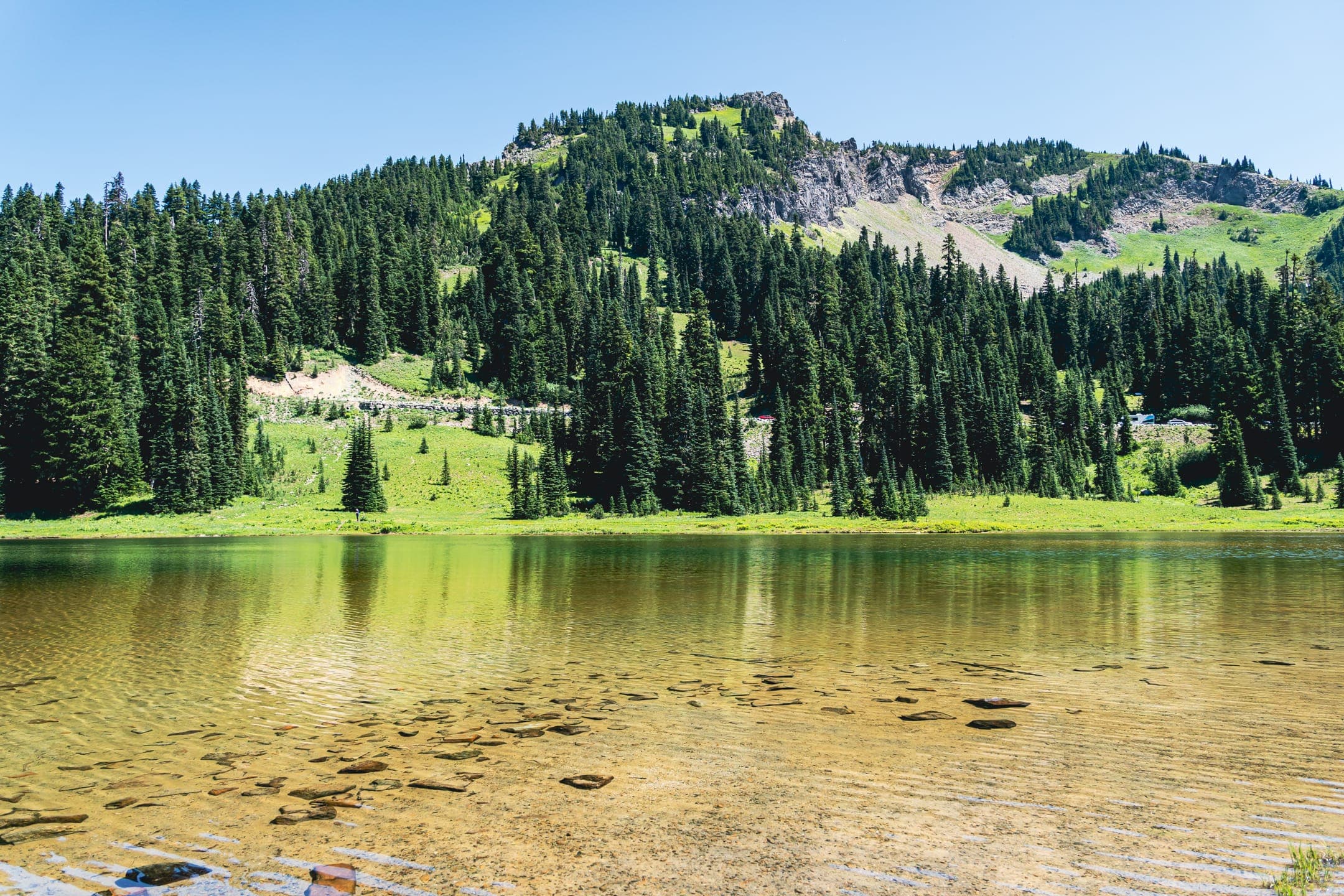 Mount Rainier National Park - Image 3