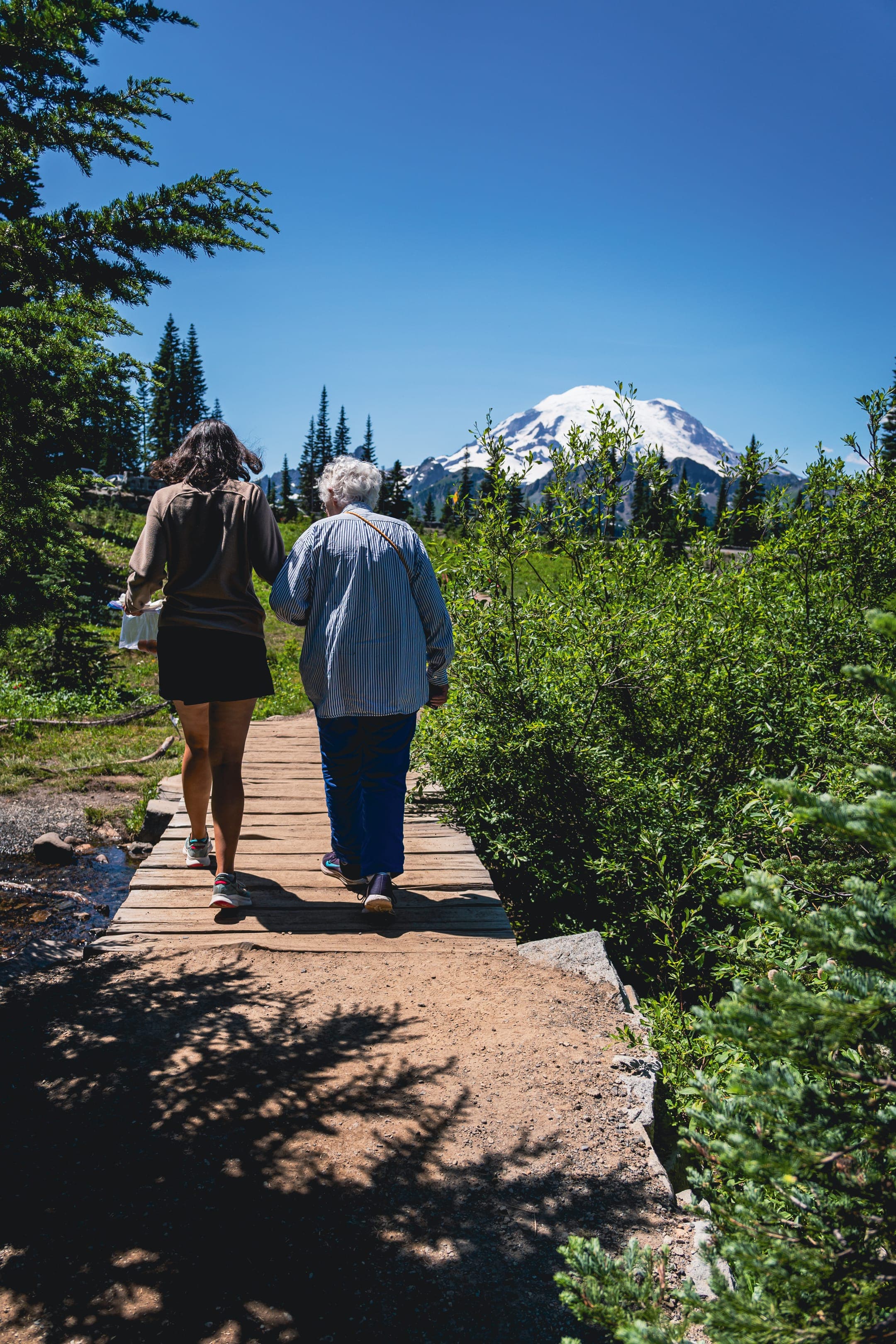 Mount Rainier National Park - Image 4