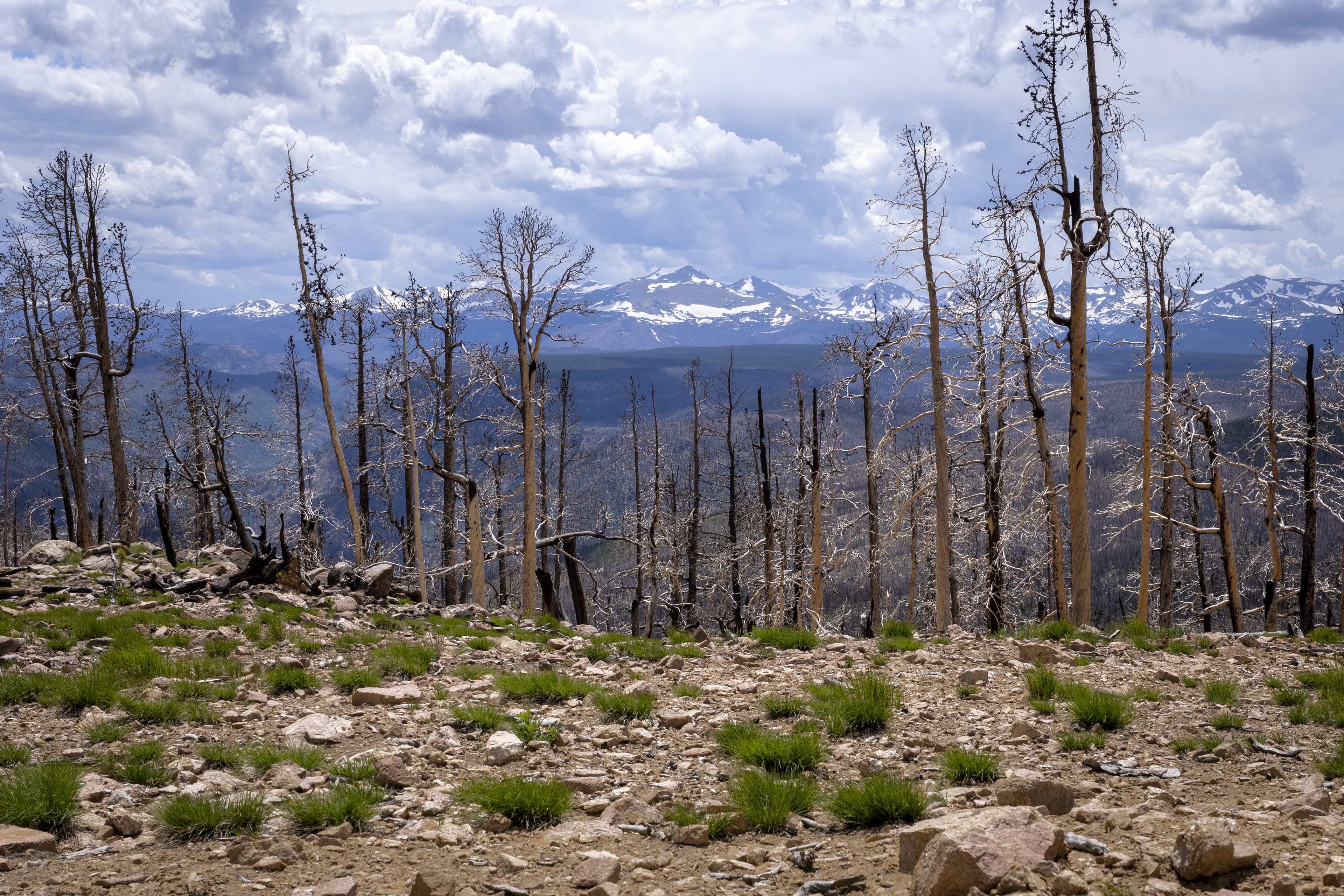 Red Feather Lakes - Image 3