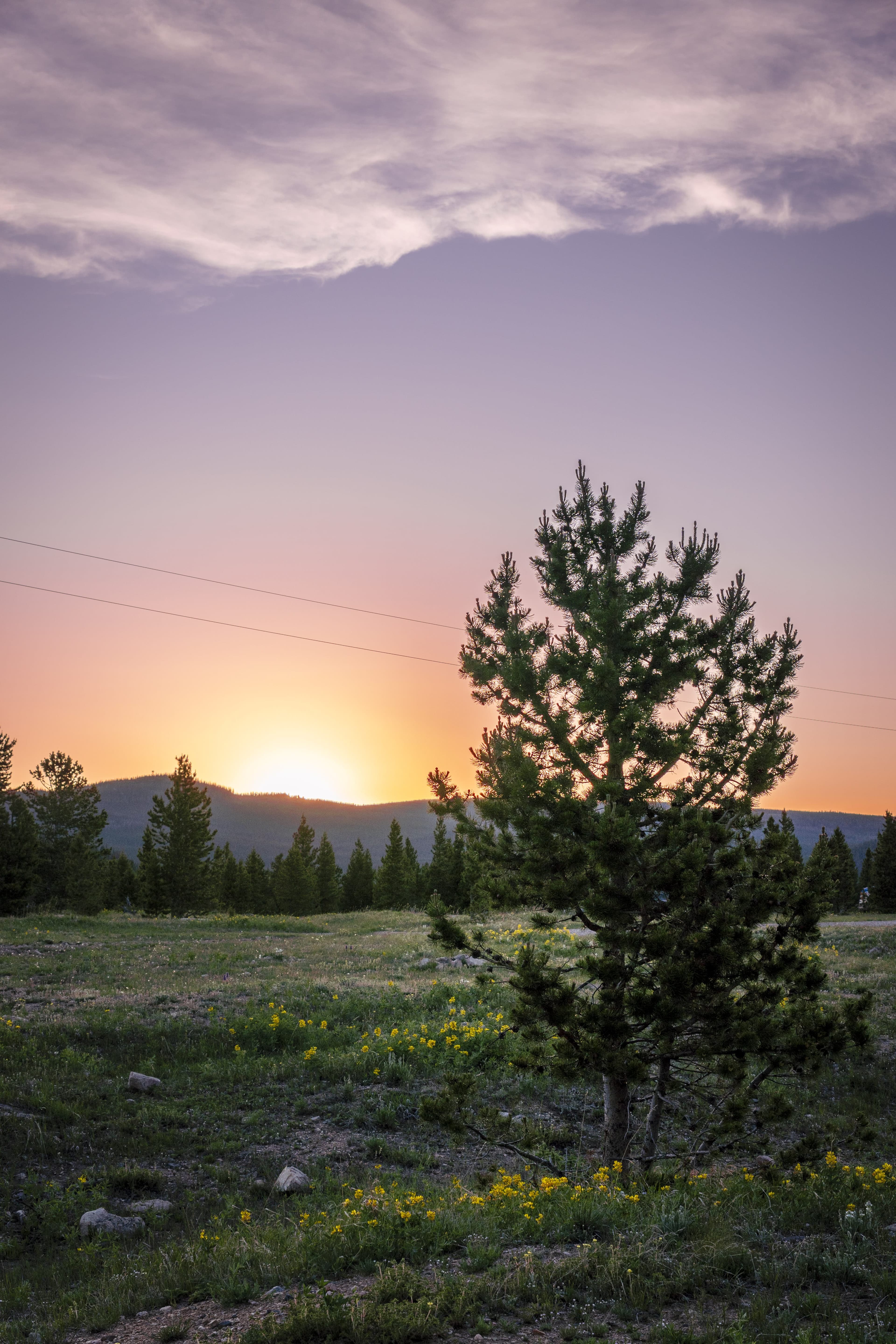 Red Feather Lakes - Image 7